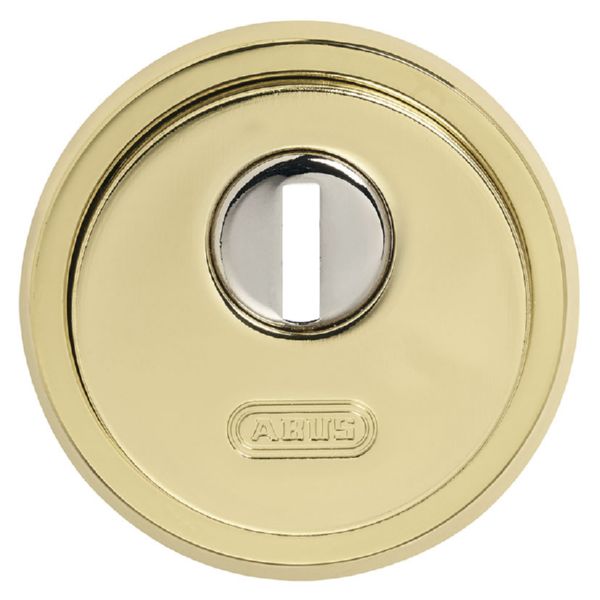 ESCUDO DE SEGURIDAD. LAT&Oacute;N.